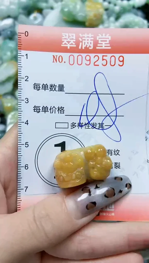 【闪购商品】翡翠颈饰未镶嵌闪购0092509