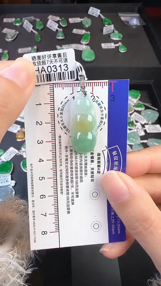 【闪购商品】翡翠颈饰18K金镶嵌HA0313富贵豆