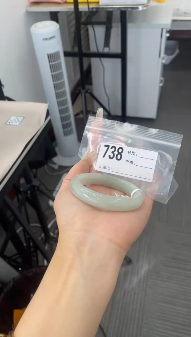 石英质玉（天山翠）手镯未镶嵌738