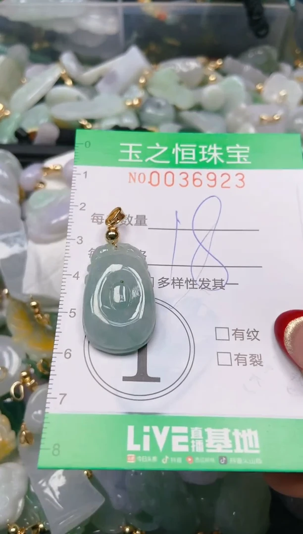 【闪购商品】翡翠颈饰未镶嵌闪购0036923