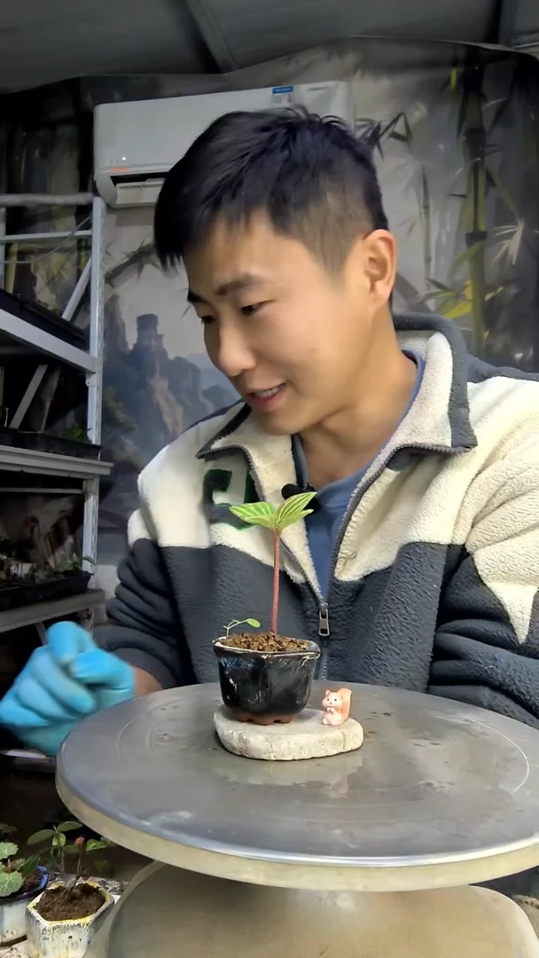 黄****?中青园艺一物一拍花92