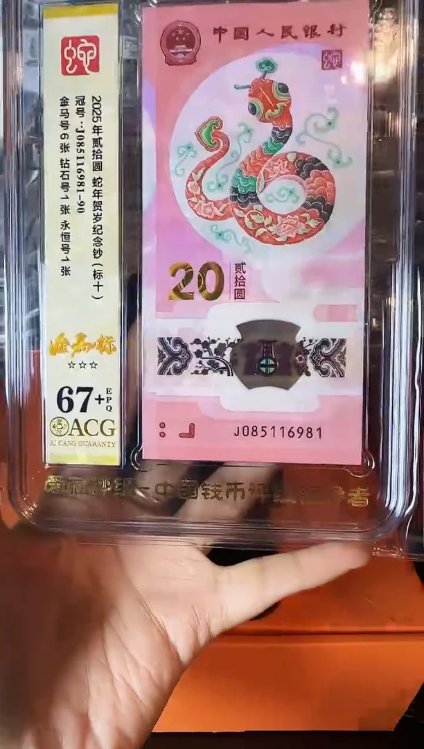 塑料2025蛇钞 爱藏标十  啊啊啊啊