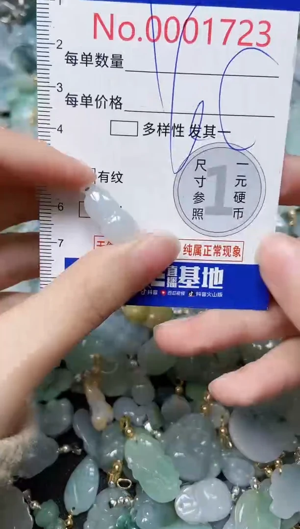 【闪购商品】翡翠颈饰未镶嵌闪购00001723