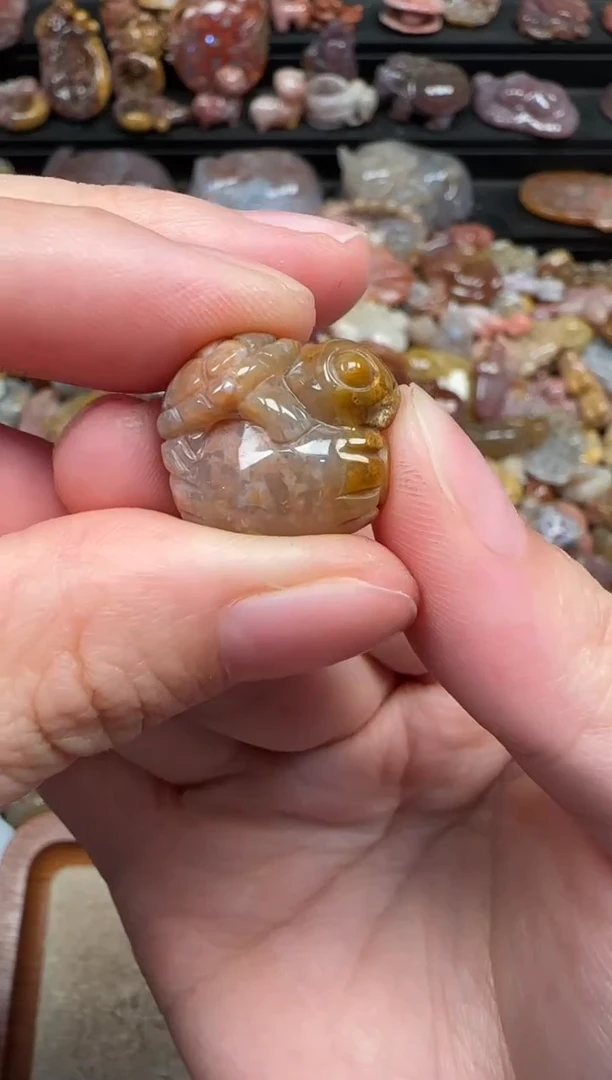颈饰未镶嵌硅化珊瑚(珊瑚玉)733