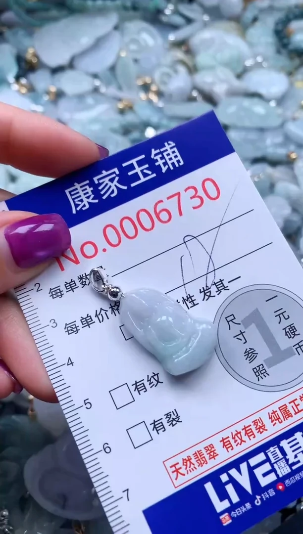 颈饰未镶嵌翡翠6730