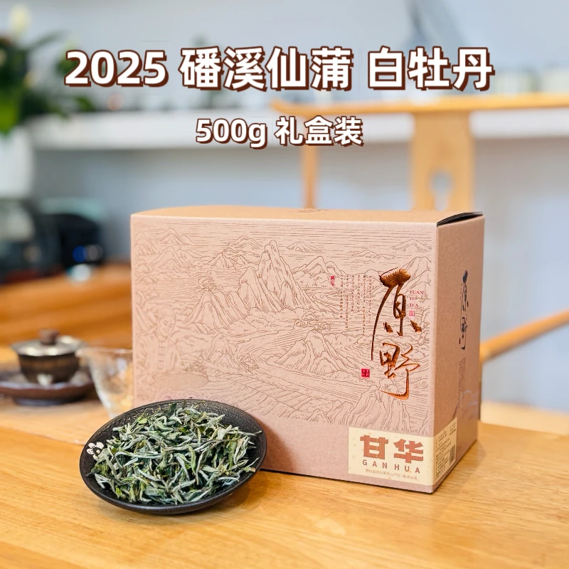 2025春茶甘华磻溪仙蒲长寿村白牡丹500g—高山福鼎白茶花香饱满