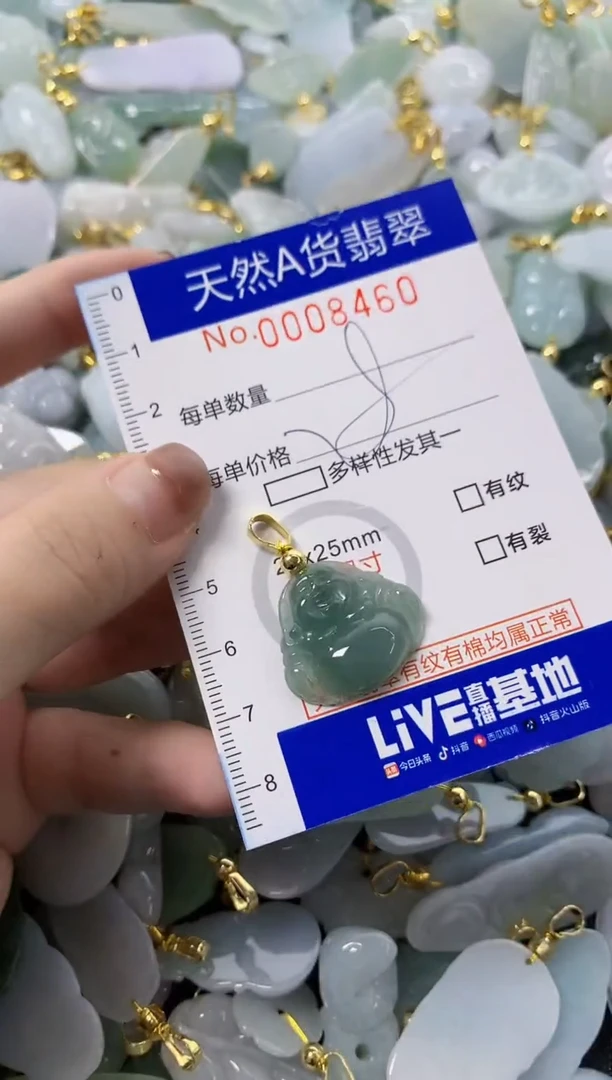 颈饰未镶嵌翡翠天然A货翡翠
