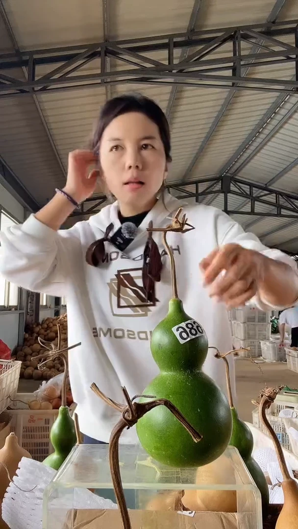 无花朵686天然葫芦摆件 一物一拍龙头不保售后
