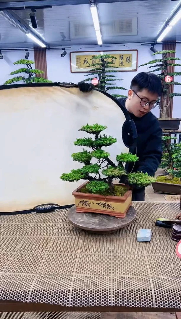 【闪购商品】一物一拍，所见即所得