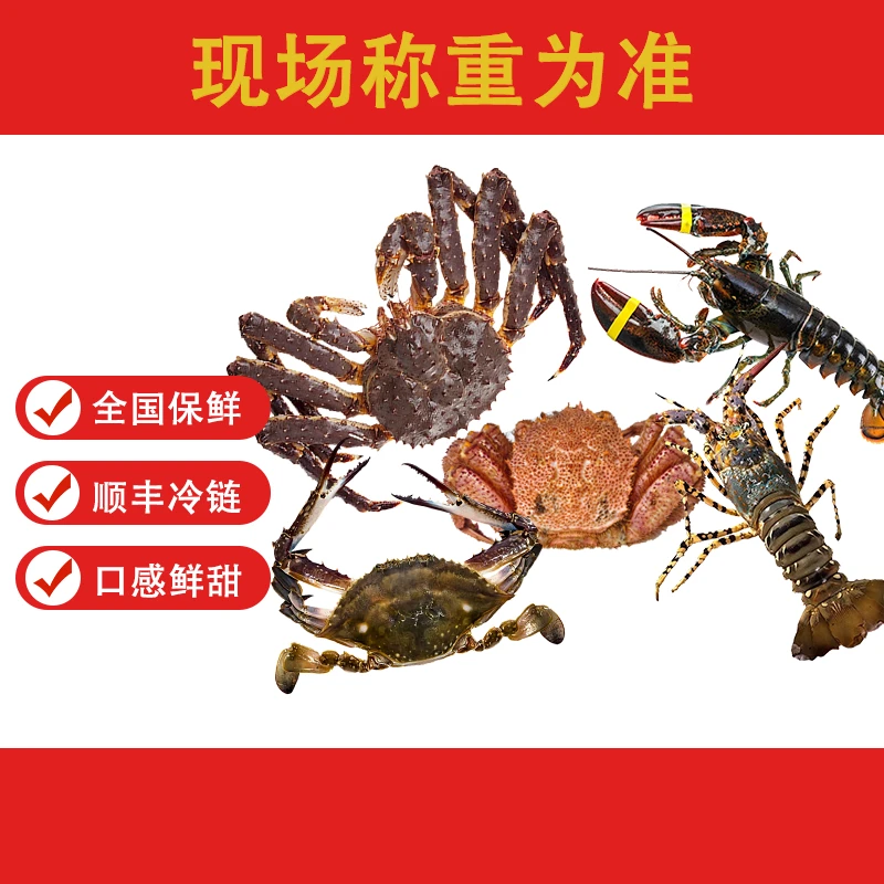 【冰鲜海鲜1号 】海鲜直播称重为准1斤-10斤起脱水5%算正常介意勿拍