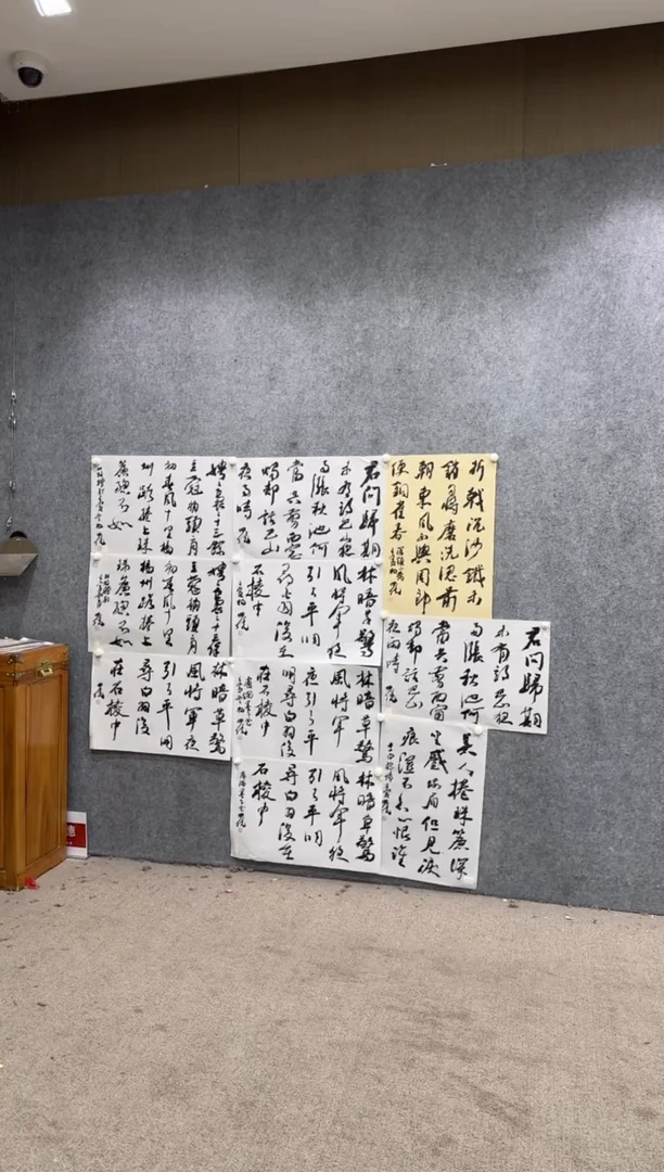 【闪购商品】书法pmb不二轩旗舰店国画YSB12