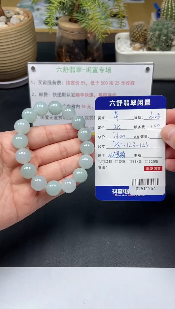 未镶嵌手串翡翠D2511254