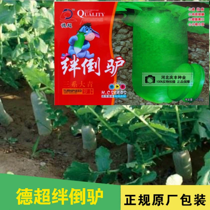 德超绊倒驴青萝卜皮肉翠绿 甜脆多汁阳台盆栽家庭园艺蔬菜种子