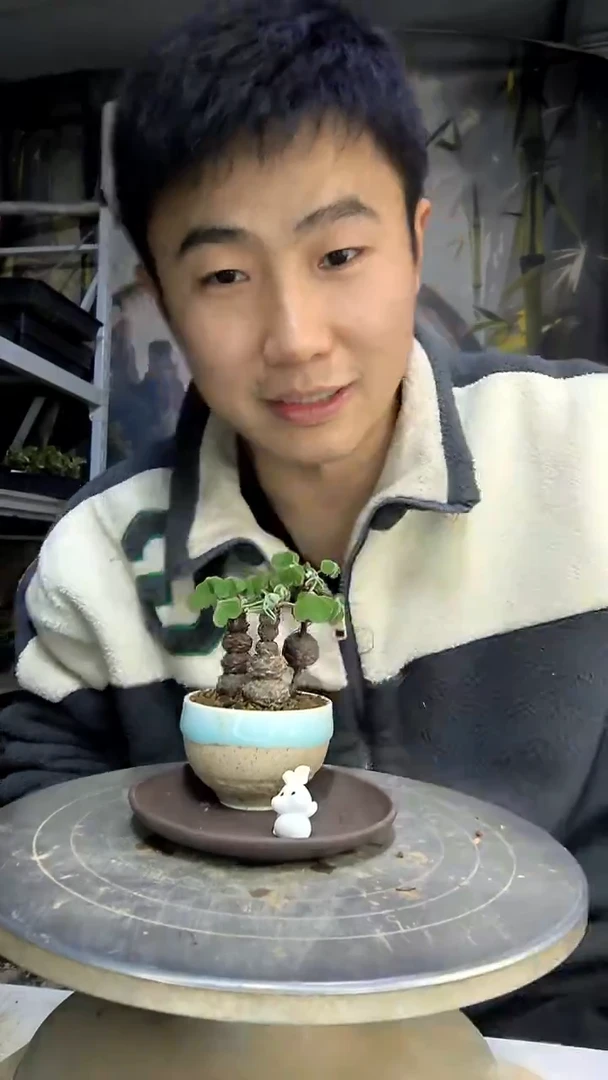 汐*妈中青园艺一物一拍花416