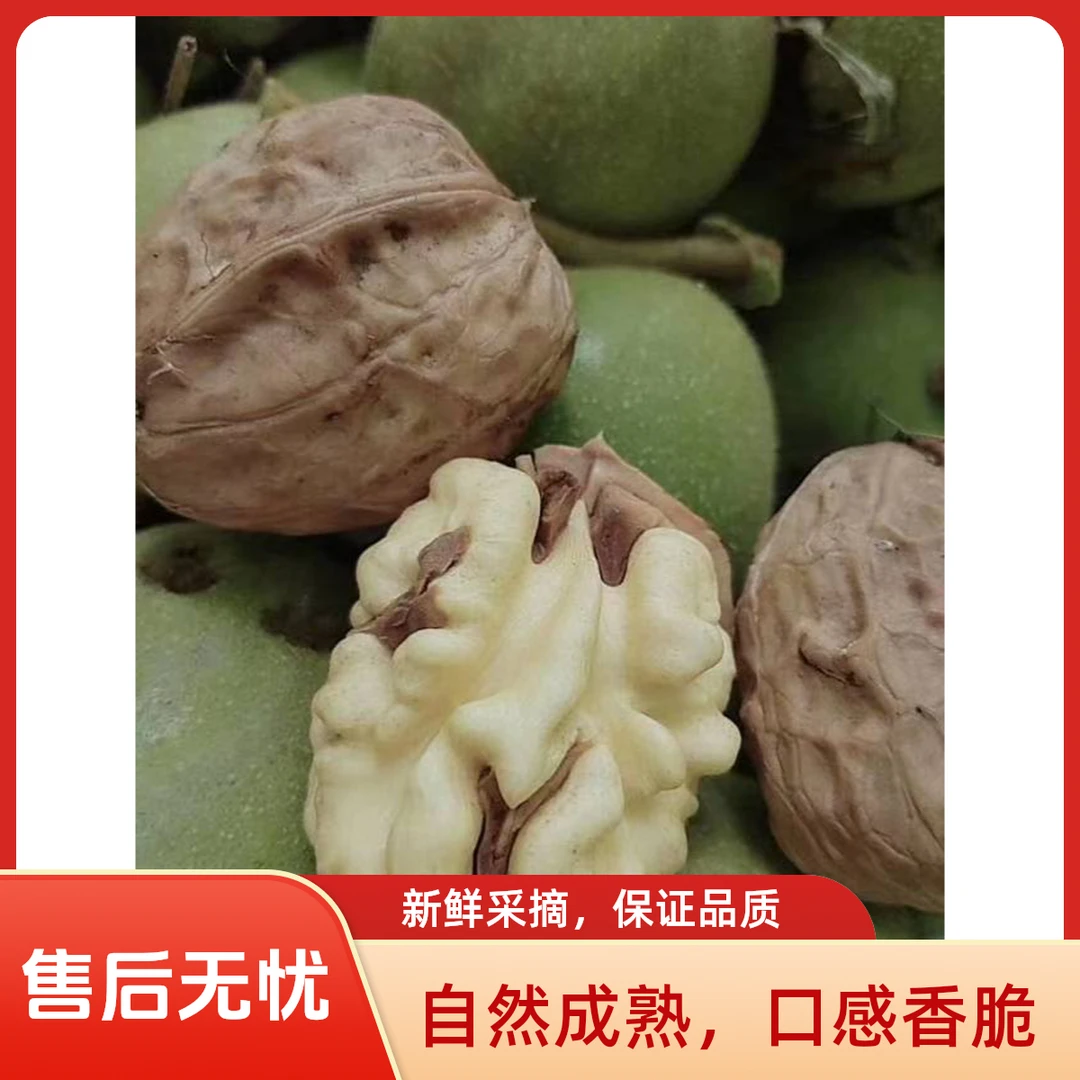 高原鲜核桃（带一股淡淡的奶香味）赠送核桃夹一个