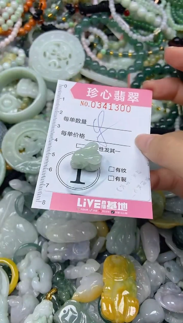 颈饰未镶嵌翡翠闪购0341300
