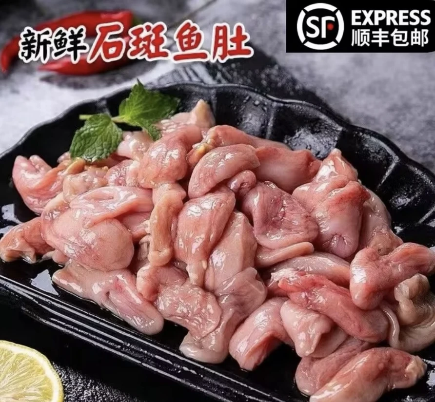 深海石斑鱼肚 顺丰冷运到家