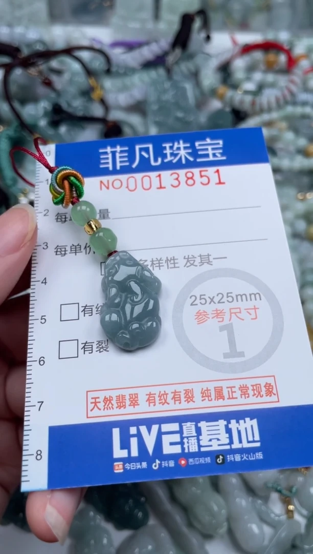 颈饰未镶嵌翡翠13851