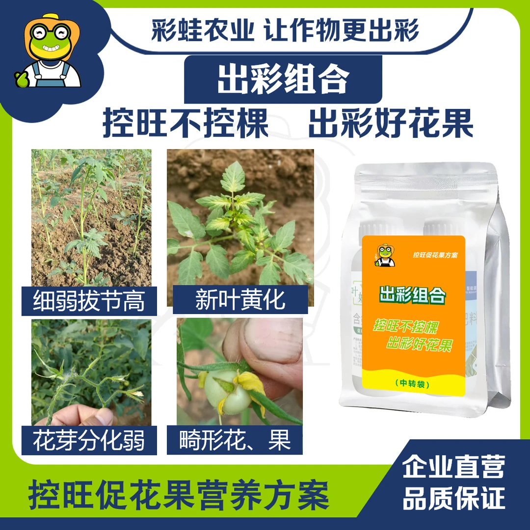 出彩组合营养控旺不控棵健壮植株发达促花芽儿大蒜大蒜肥料专用肥