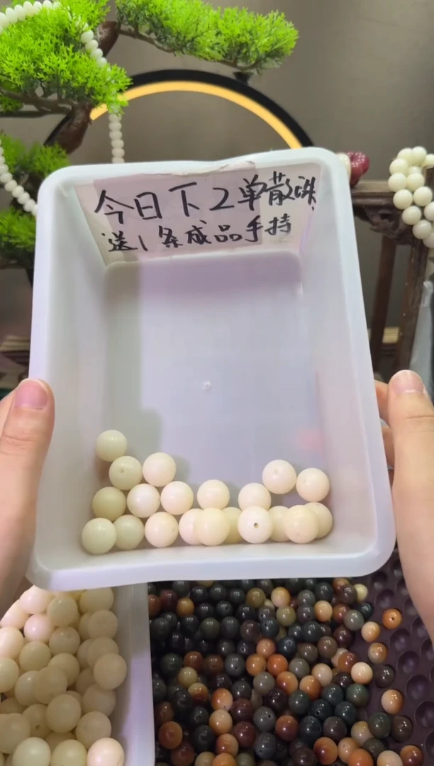 菩提根/象牙果吊坠白玉菩提15mm20颗