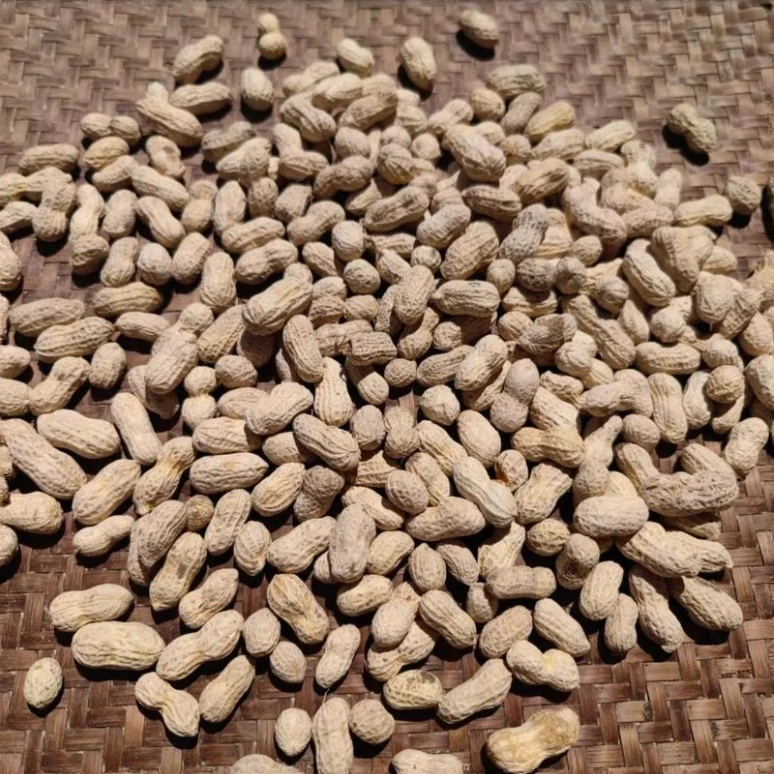 吕支书助农推荐农家自然晒干花生