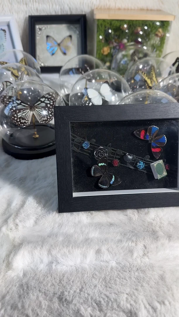 有机玻璃两只小胡蝶 造景款