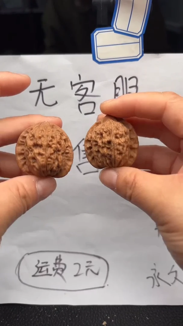 把件文玩核桃581公子帽