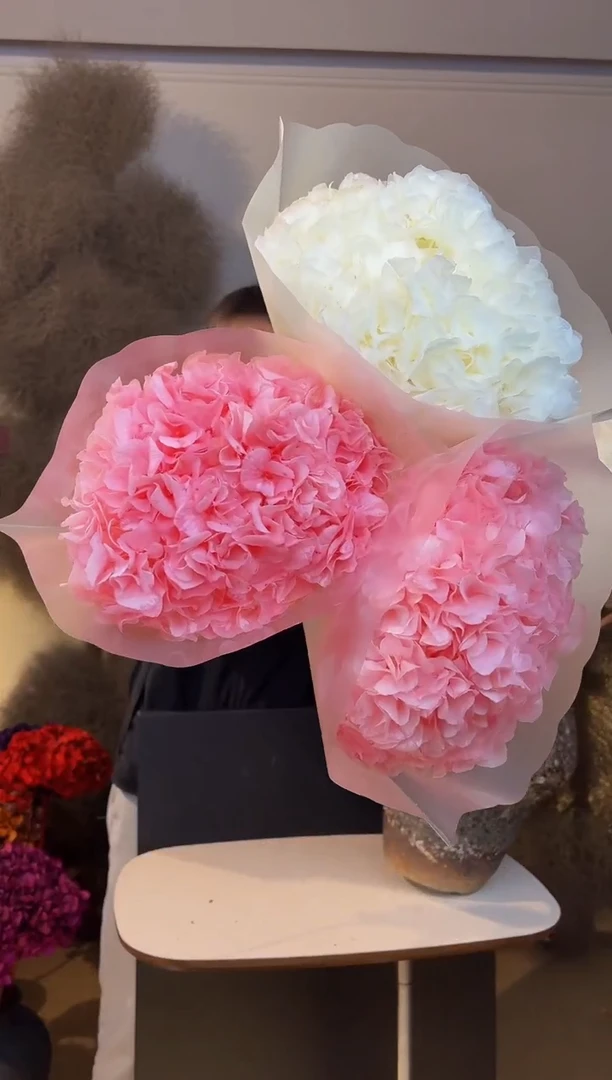 130 山前小麦 · 永生大叶绣球漂色  3枝 粉2白1