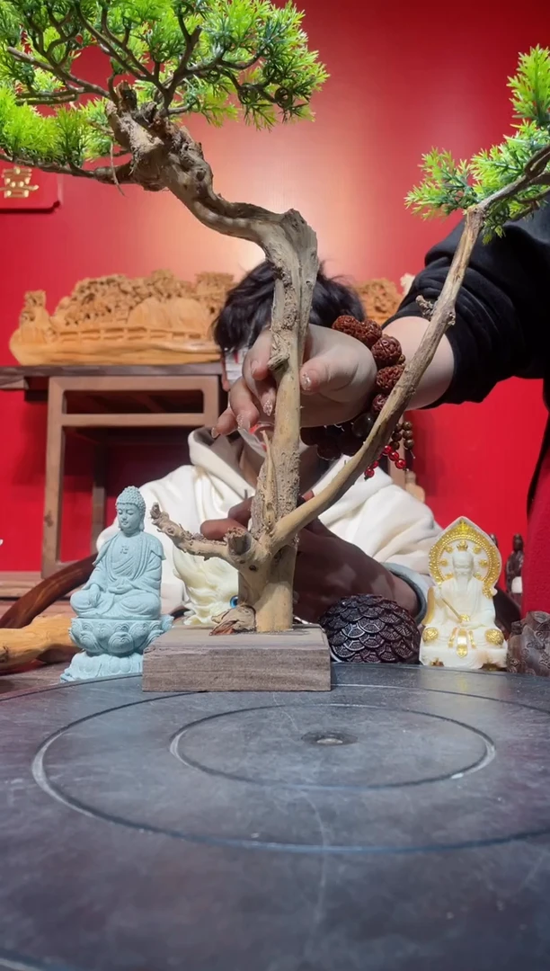 【闪购商品】柏木（崖柏）其他(直播推荐)