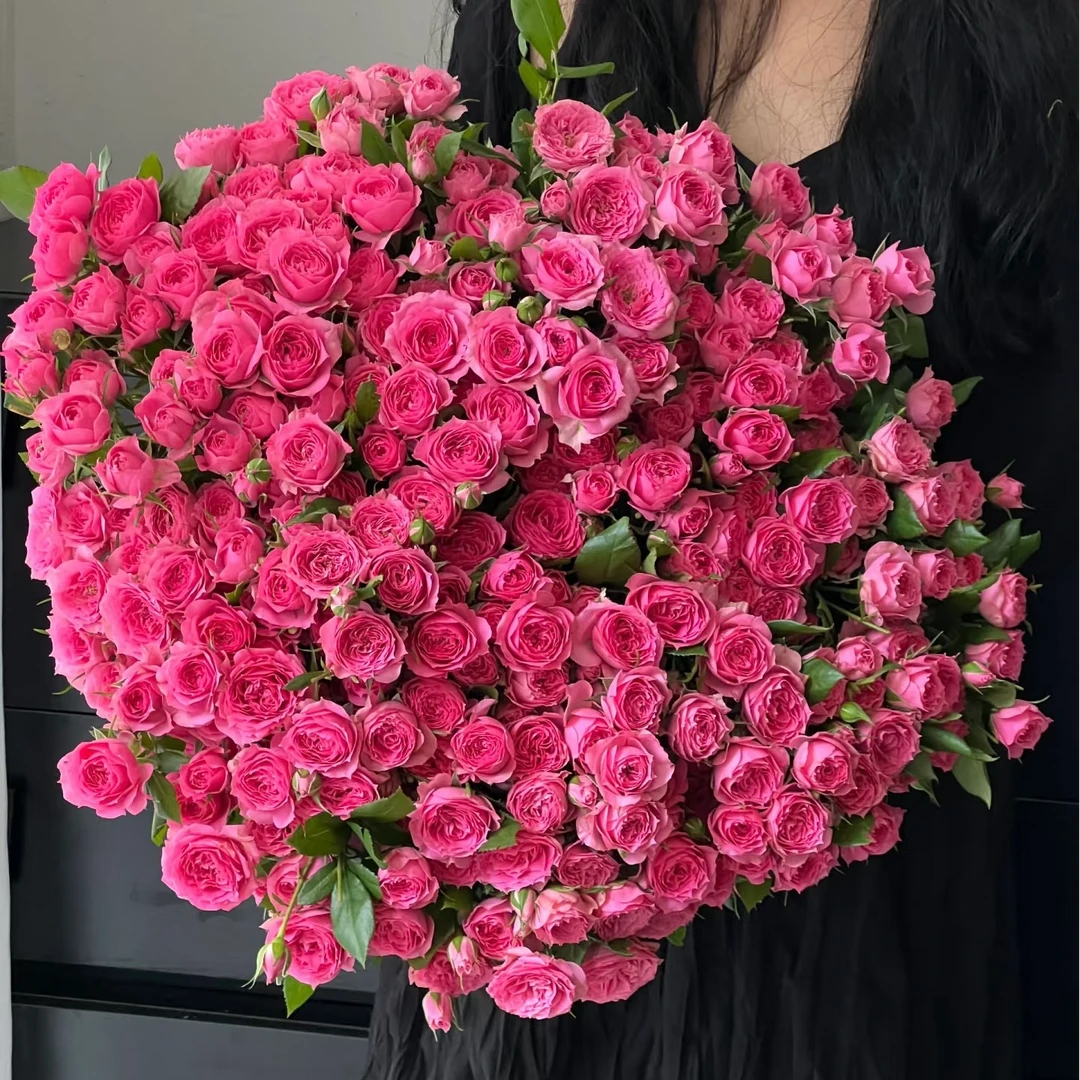 鲜花【苏菲宝贝】同地址两单以上顺丰包邮送货上门+送配草1扎