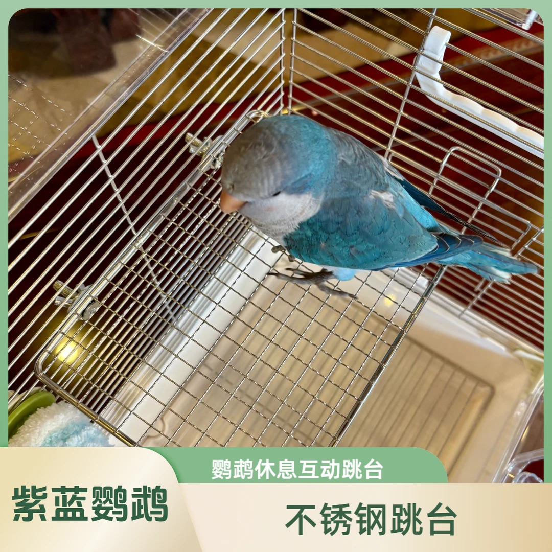 鹦鹉不锈钢休息台跳台不锈钢网架鹦鹉跳台食台笼物休息跳板