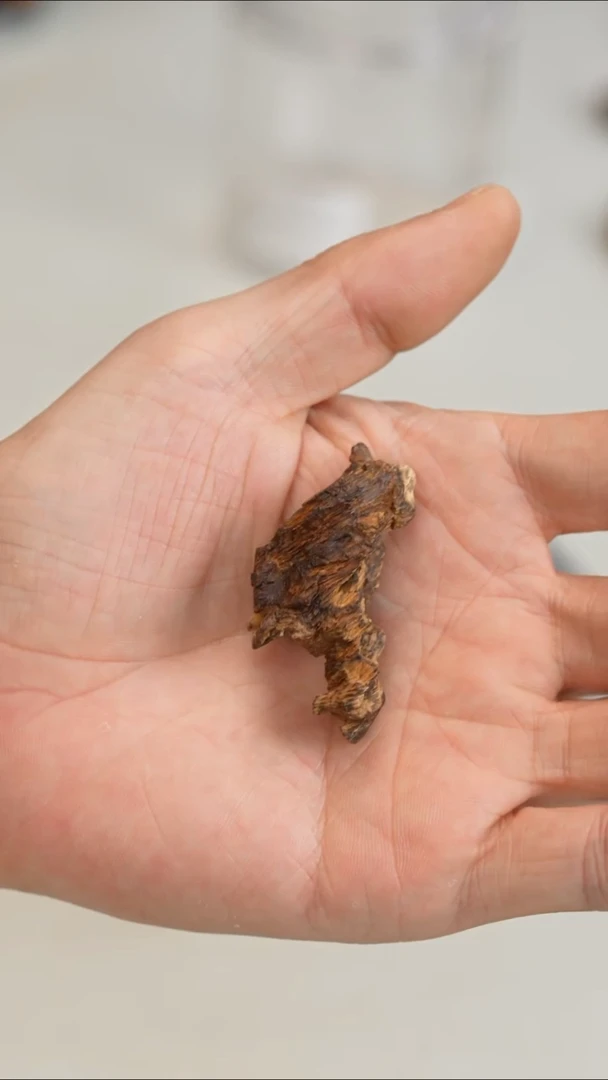 沉香沉香碎屑缅甸密支那九分沉3.5g