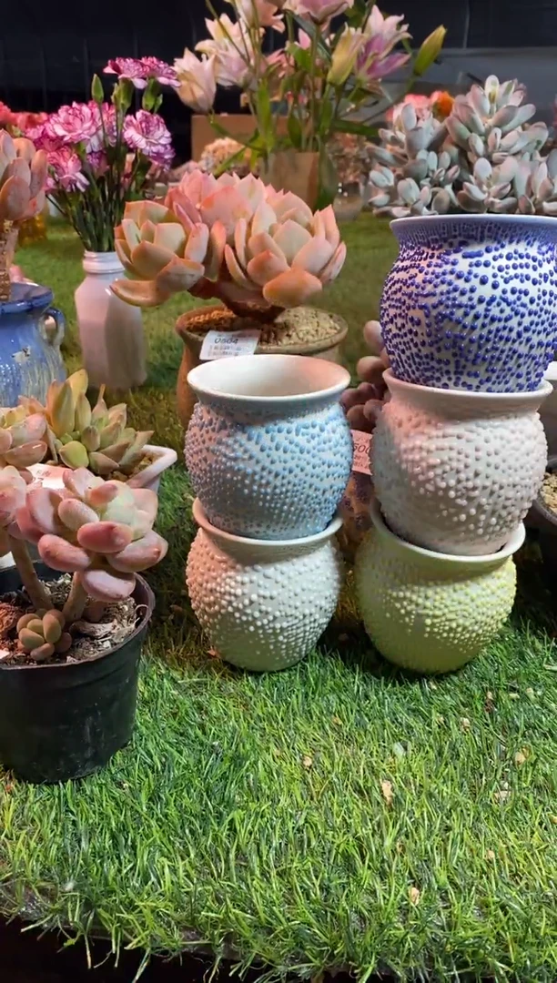 【闪购商品】5个aaaaa