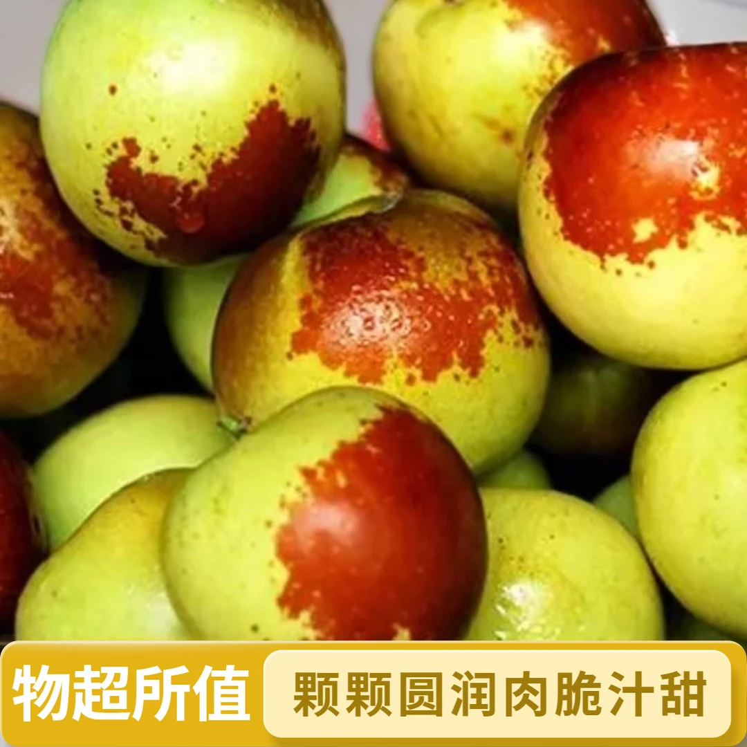 沾化冰糖冬枣现摘现发甘甜爽口营养丰富脆甜多汁新鲜冬枣包邮