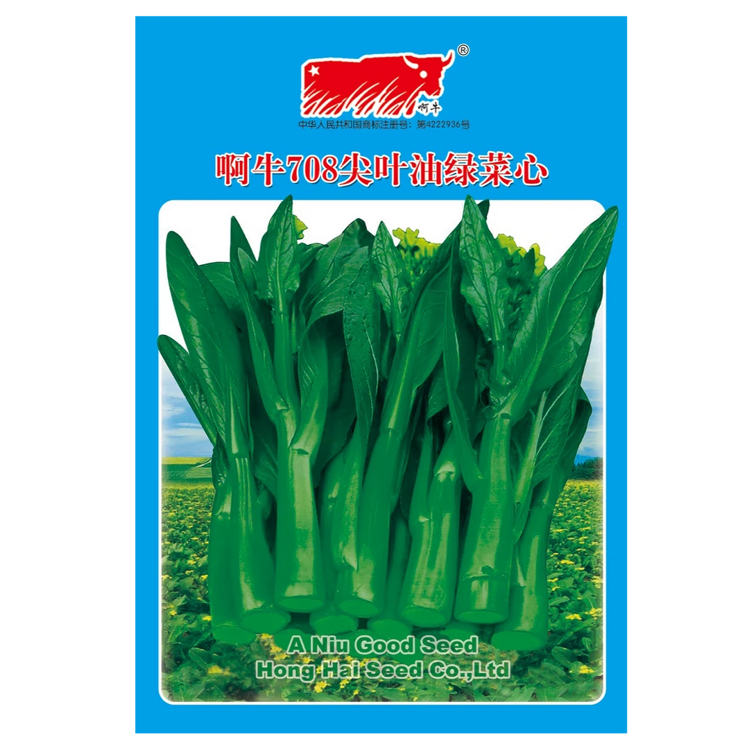 啊牛708尖叶菜心芥菜种子（净含量：400四季克）