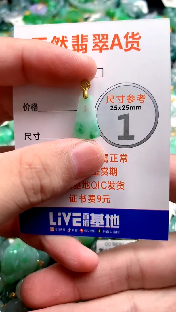 颈饰未镶嵌翡翠14006273