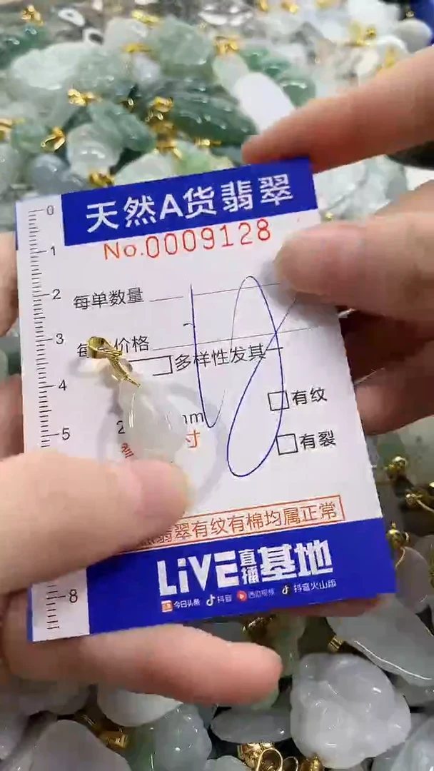 颈饰未镶嵌翡翠天然A货翡翠