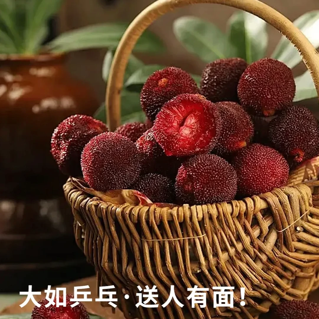 【福利加赠】正宗仙居杨梅现摘现发杨梅当季新鲜特大果送礼空运包邮次日达4斤sh新鲜杨梅浙江省