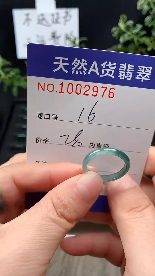 未镶嵌戒指翡翠16#