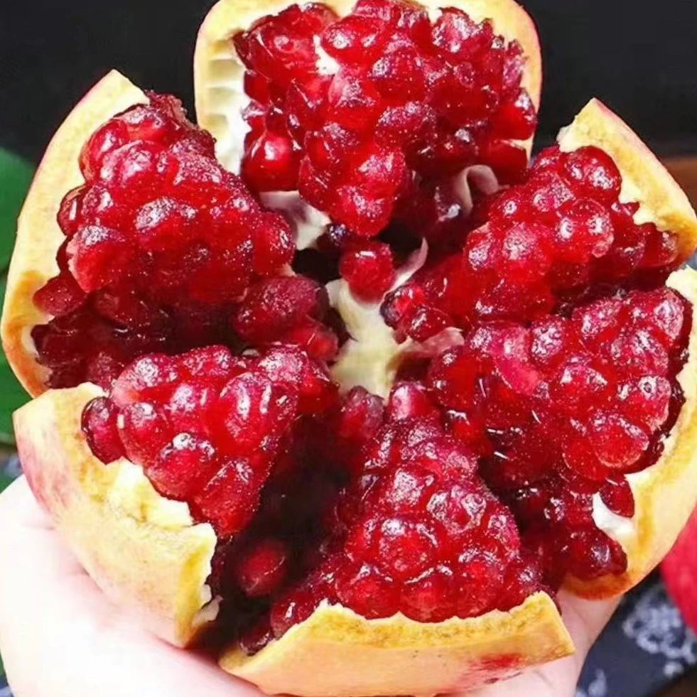 四川大凉山突尼斯软籽石榴颗颗多汁甜蜜可口