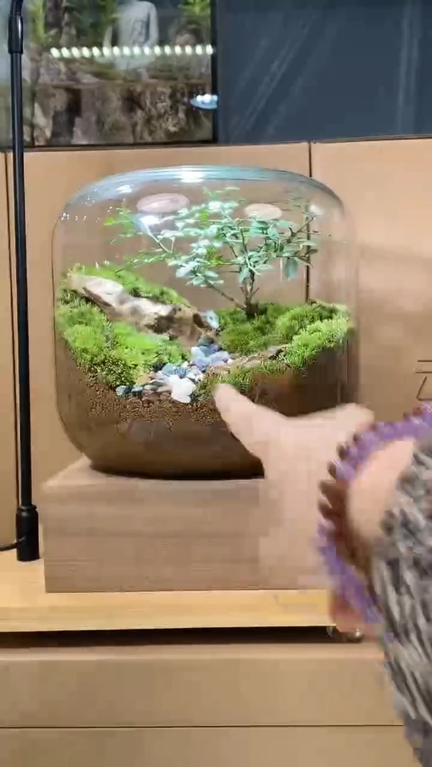 【闪购商品】孤品树影婆娑2