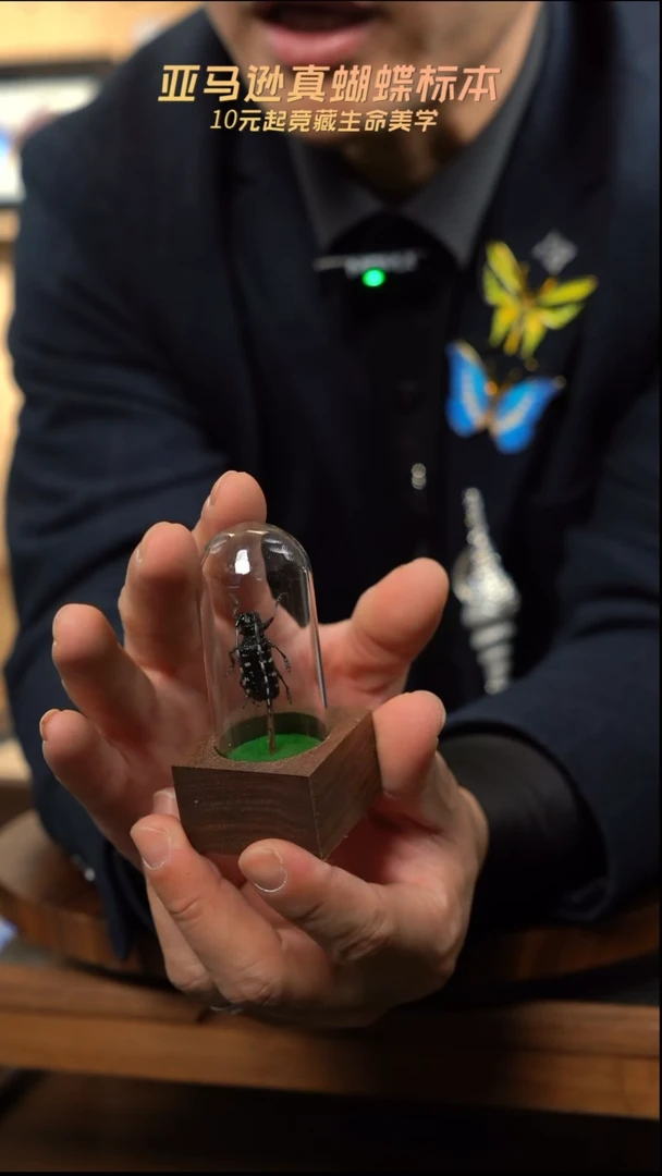 星天牛胡桃木试管款