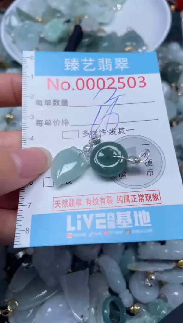 颈饰未镶嵌翡翠2503