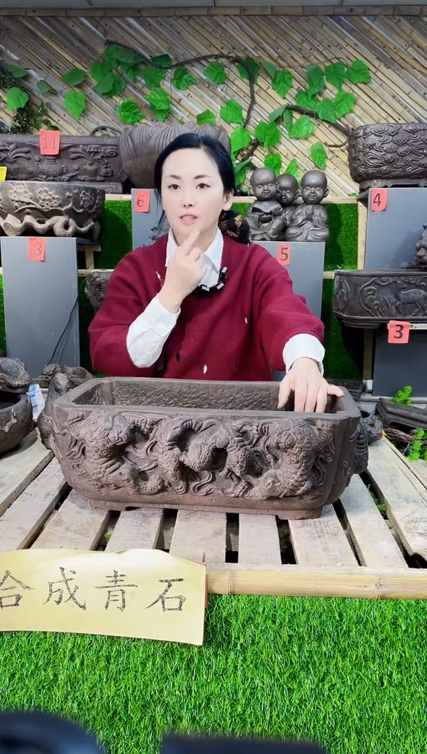 【闪购商品】复合盆sf-1005