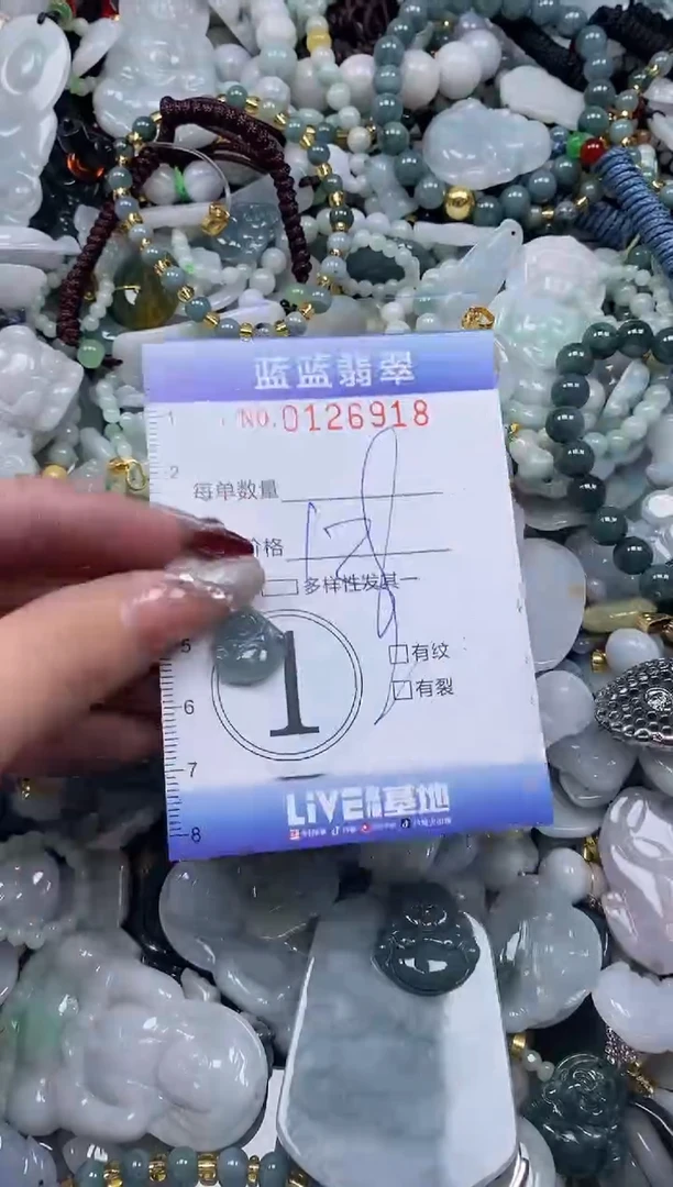 【闪购商品】翡翠颈饰未镶嵌闪购0126918