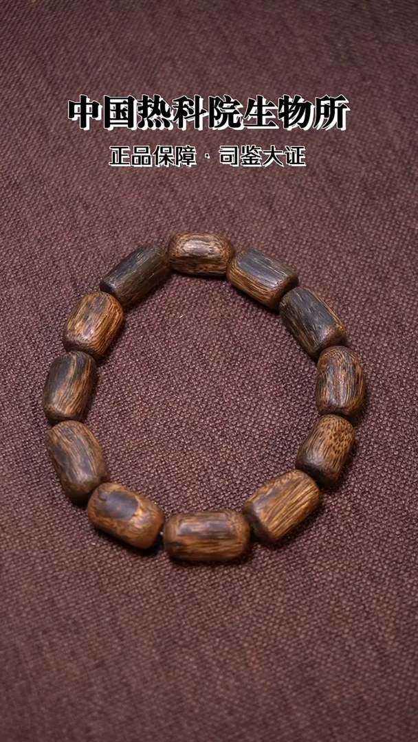 手串沉香树心油随形单圈10g