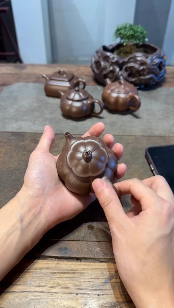 茶壶紫砂智**莲大鱼海棠