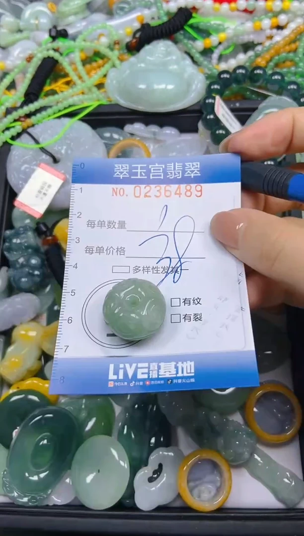 颈饰未镶嵌翡翠闪购C0236489