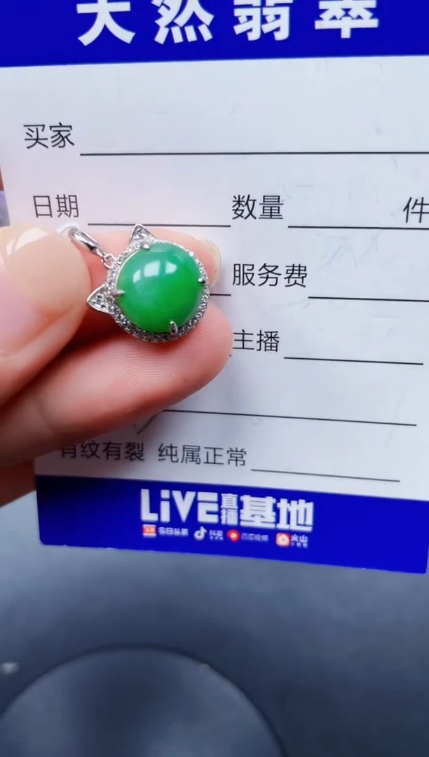 颈饰银S925镶嵌翡翠113