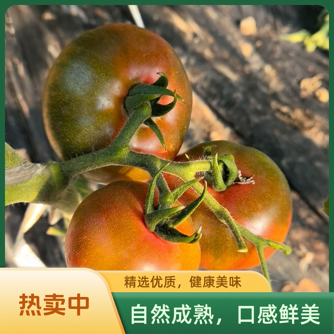 （京东包邮)自然成熟的草莓番茄新鲜番茄